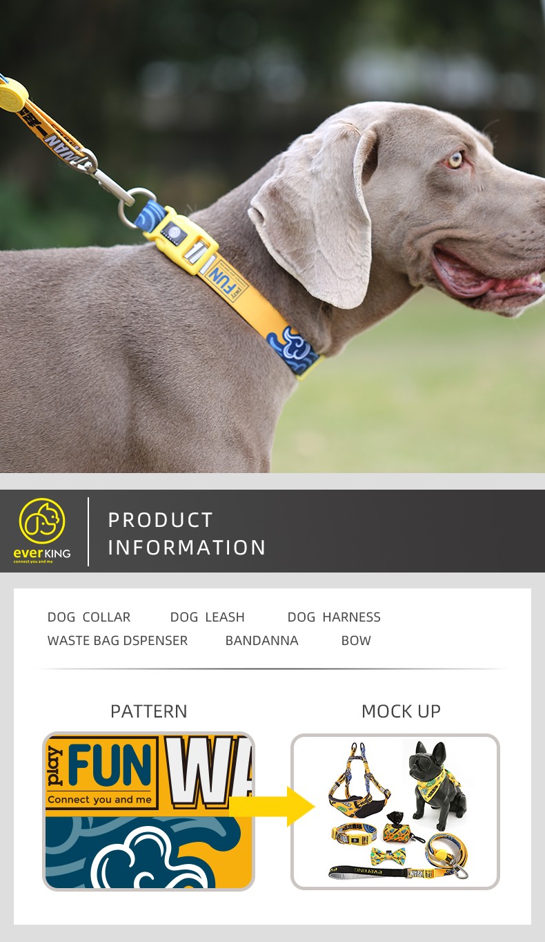 dog leads and collars.jpg